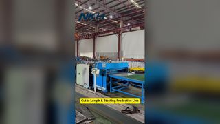 Doğrultma, Kesme ve İstifleme Hattı 0,3-3mm Kalınlıkta Çelik Rulo Boy Kesme Makinası